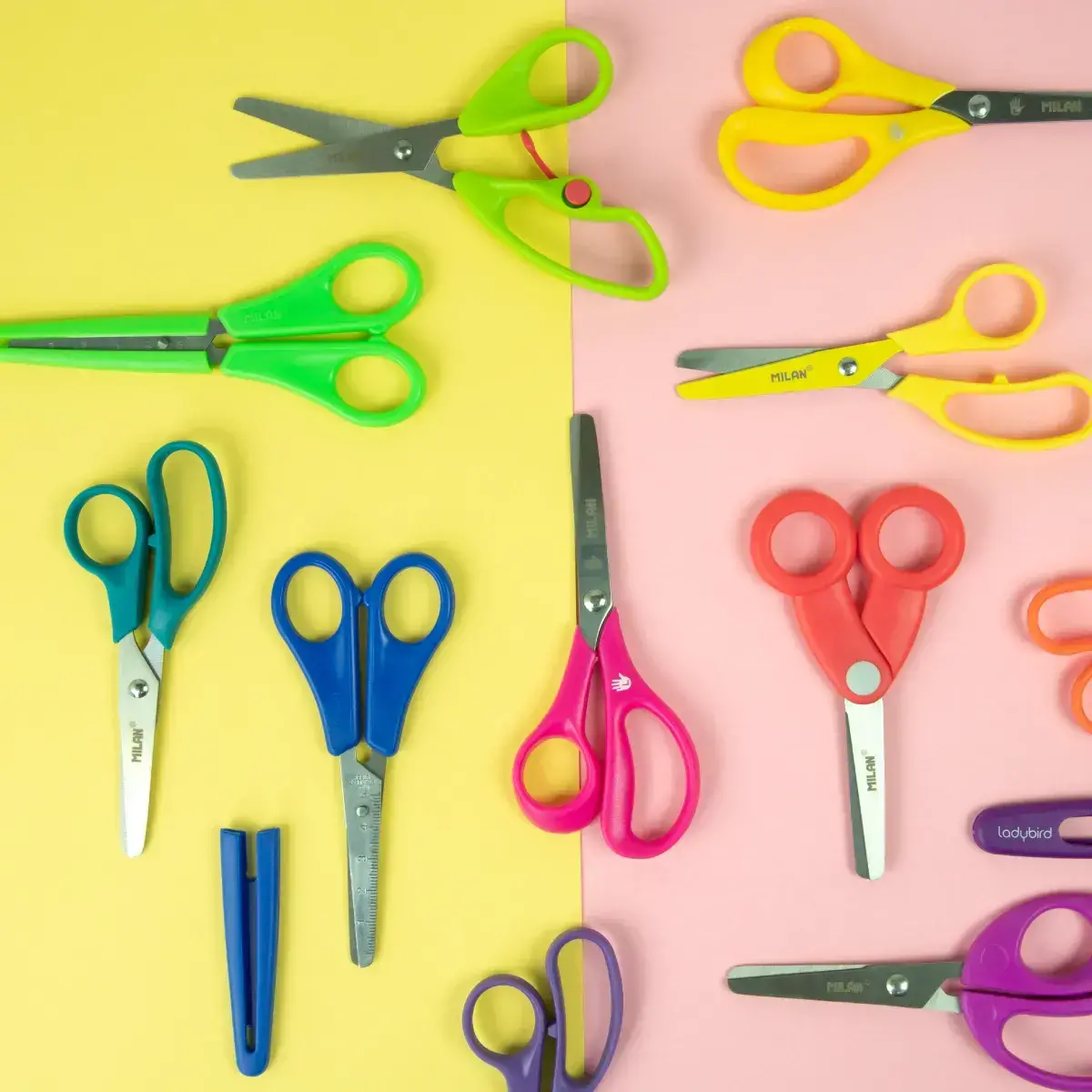 Display box 24 scissors with case