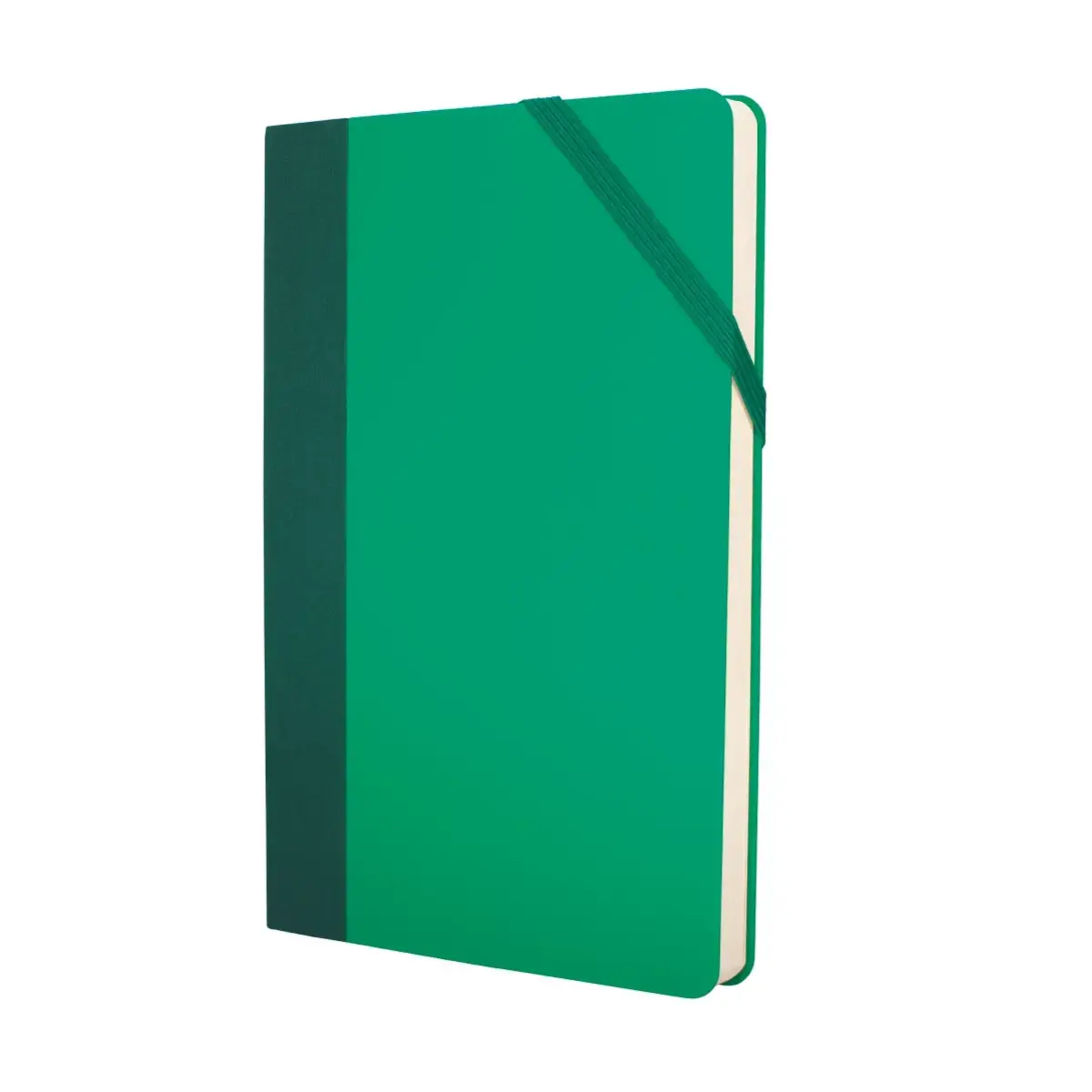 Orta boy yeşil renkler defter, düz kağıt