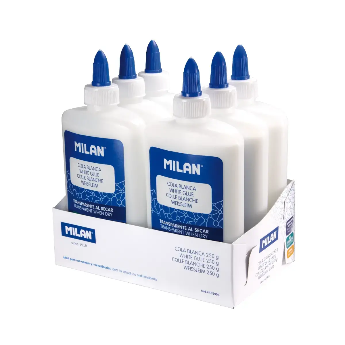 Teşhir kutusu 6 bottles beyaz yapıştırıcı, 250 g